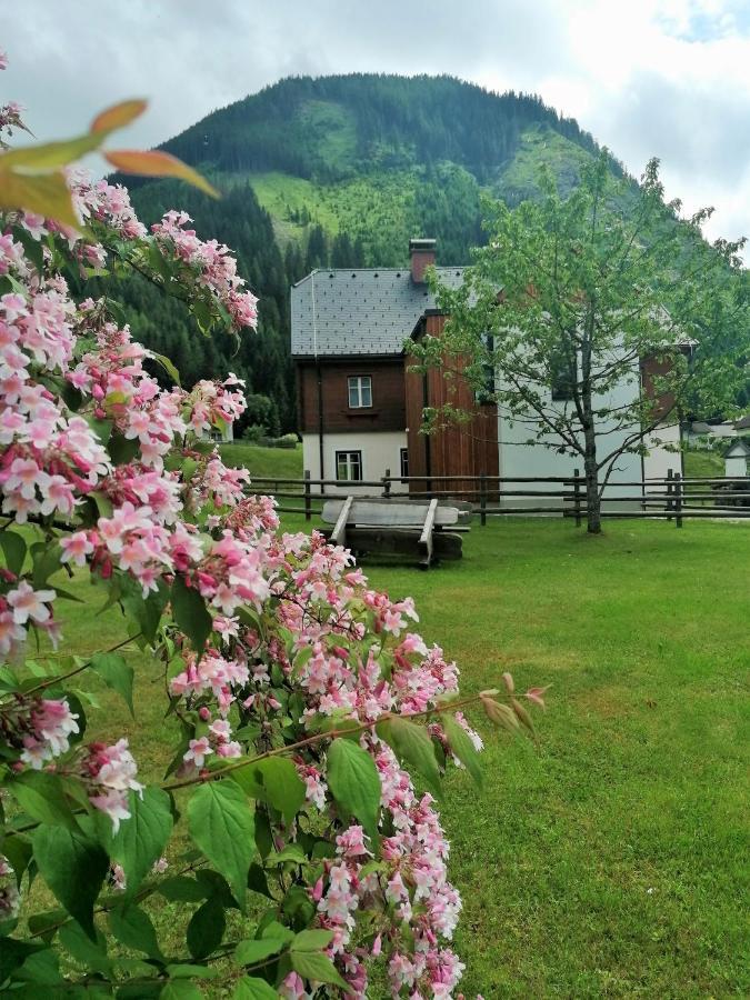 Himmlisch Urlauben St. Nikolai Apartman Sankt Nikolai im Sölktal Kültér fotó